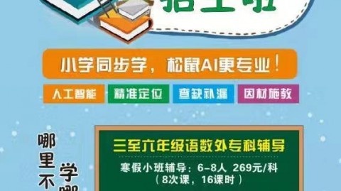 大庆松鼠AI代理招聘信息大起底：我在智适应教育这行干了三年，说点真心话